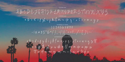 Fisillove Signature Font Poster 6