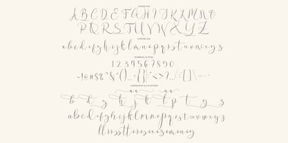 Wamolye Script Font Poster 7
