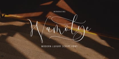 Wamolye Script Font Poster 1