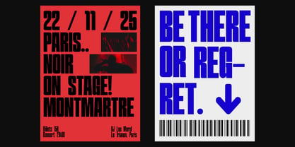 Narrowtone Font Poster 4