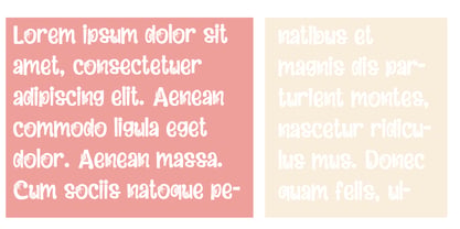 PN Carpet Roses Font Poster 3