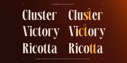 TBJ Valmist Font Poster 9