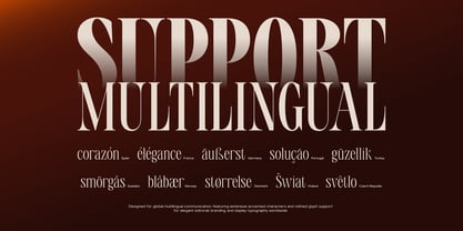 TBJ Valmist Font Poster 5
