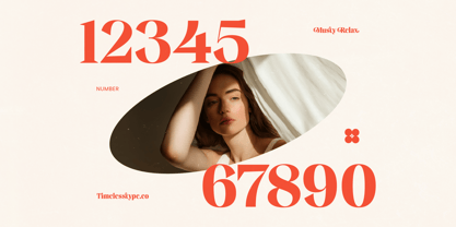 Musty Relax Font Poster 13