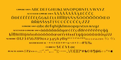 Istanbul Type Variable Font Poster 3