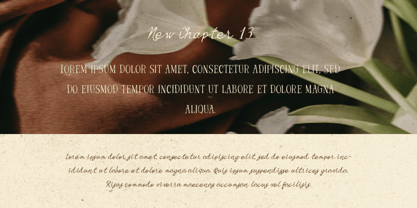 Locked Whisper Font Poster 3
