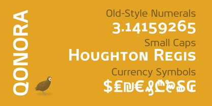 Qonora Font Poster 4