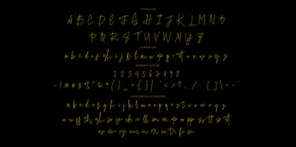Hissy Fits Signature Font Poster 3