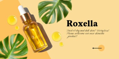 Murisa Erena Font Poster 2