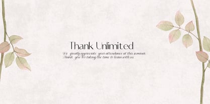 Murisa Erena Font Poster 5