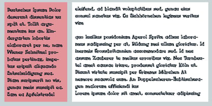 ZP Bobotie Blooms Font Poster 6