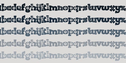 ZP Bobotie Blooms Font Poster 4