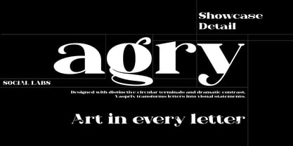 Vasprix Font Poster 3