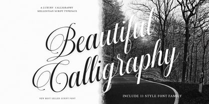 Mallestian Script Font Poster 4