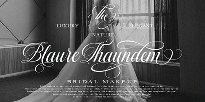 Mallestian Script Font Poster 9
