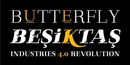 Qualitype Font Poster 10