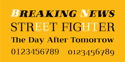 Qualitype Font Poster 9