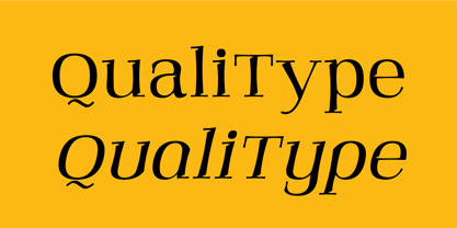 Qualitype Font Poster 6
