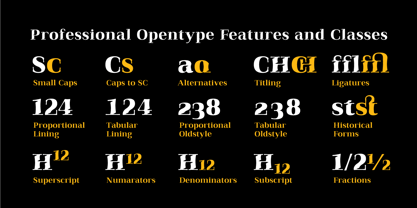Qualitype Font Poster 7
