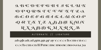 Alrays Bloom Font Poster 12