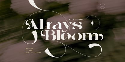 Alrays Bloom Font Poster 1