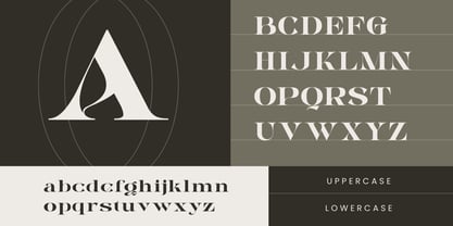 Alrays Bloom Font Poster 11