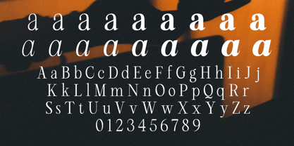 RCL Arviel Font Poster 13