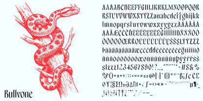 Bullvone Font Poster 2
