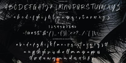 Jorima Signature Brush Font Poster 3