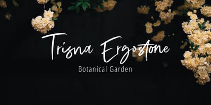 Jorima Signature Brush Font Poster 2