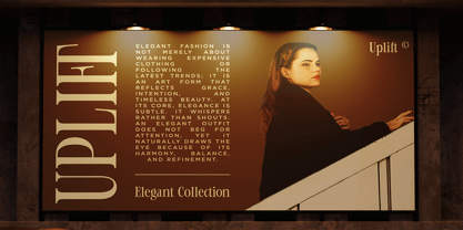 Desqire Font Poster 6