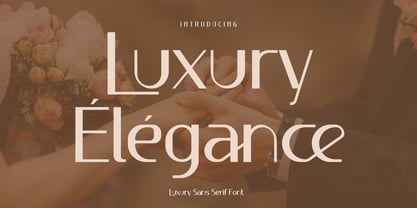 Luxury Elegance Font Poster 1
