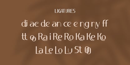 Luxury Elegance Font Poster 8