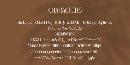 Luxury Elegance Font Poster 7
