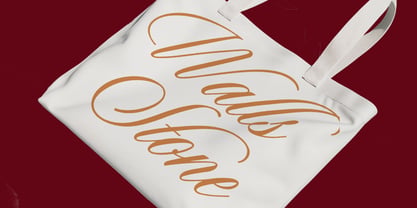 Todaya Scriptua Font Poster 6