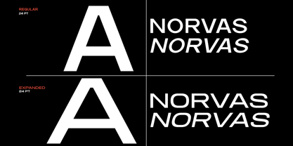 Norvas Font Poster 11