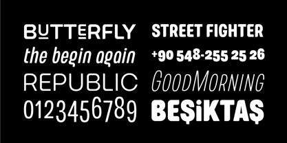 European Soft Pro Font Poster 10