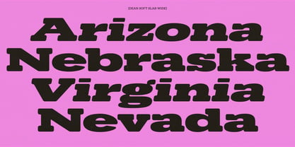 Dean Soft Slab VF Font Poster 4