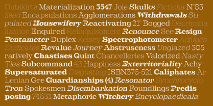 Westype Font Poster 5