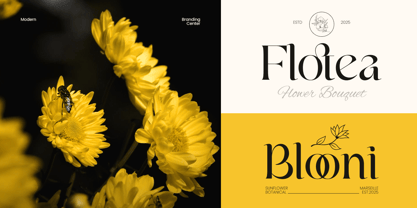 Royalist Font Poster 8