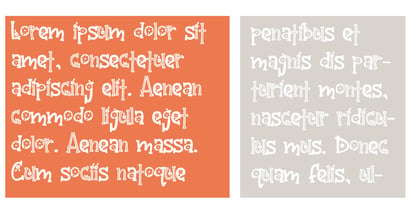 ZP Beacoup Bloom Font Poster 5