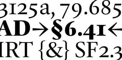 Erato Nova Font Poster 13