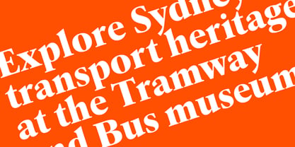 Erato Nova Font Poster 10