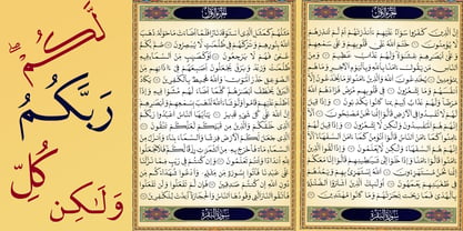 TE HAFS Pro Tharwat Emara Font Poster 10