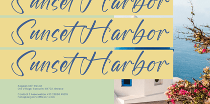 Floral Wish Font Poster 6