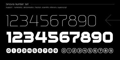 Ginovra Font Poster 5