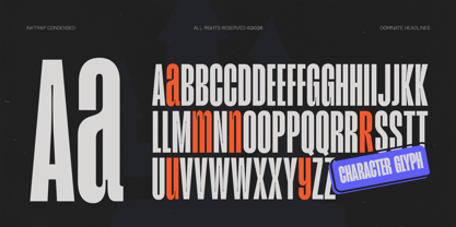 GC Magnu Font Poster 9