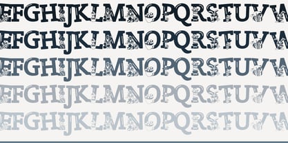 ZP Zaster Font Poster 3