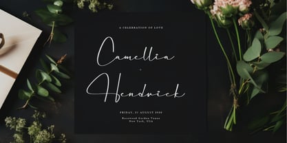 Kostaciya Font Poster 3