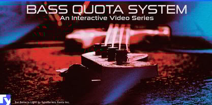 Sui Generis Font Poster 7